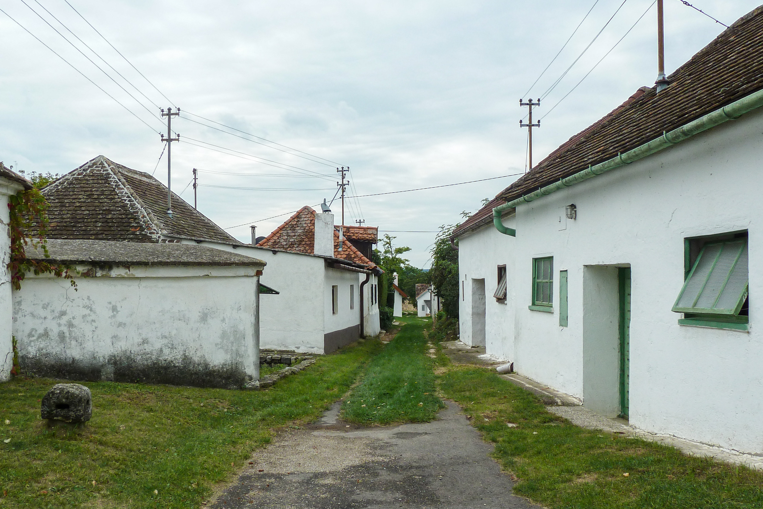 Kellergasse mit weißen Presshäusern